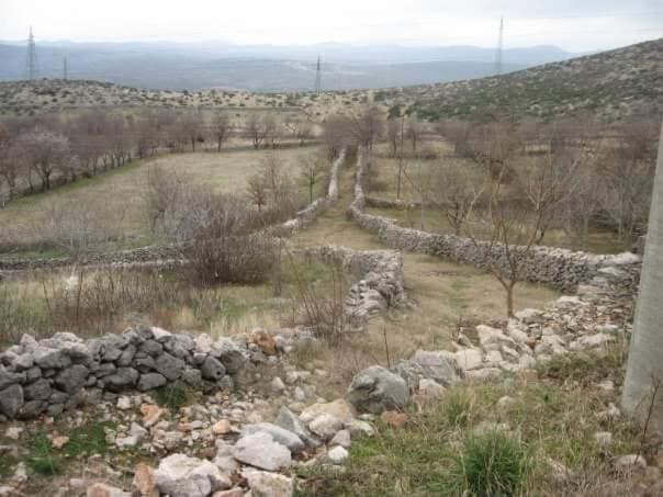 Apartman Milanko Muskovci Dış mekan fotoğraf