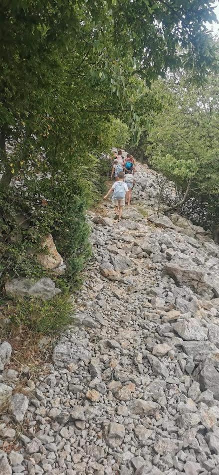 Apartman Milanko Muskovci Dış mekan fotoğraf